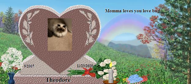 Theodore's Rainbow Bridge Pet Loss Memorial Residency Image