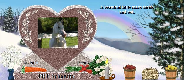 THF Scharafa's Rainbow Bridge Pet Loss Memorial Residency Image