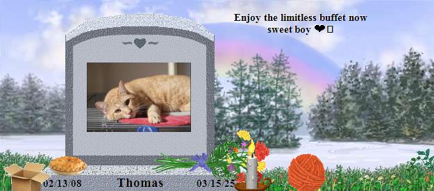 Thomas's Rainbow Bridge Pet Loss Memorial Residency Image