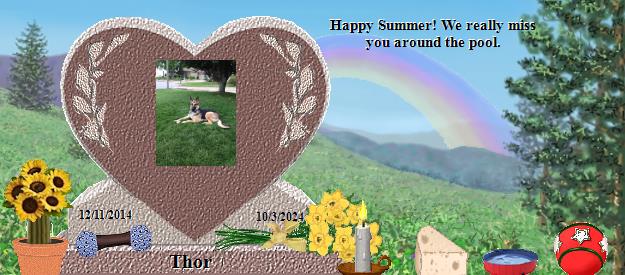 Thor's Rainbow Bridge Pet Loss Memorial Residency Image