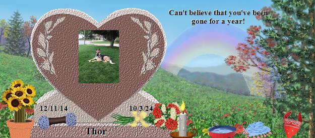 Thor's Rainbow Bridge Pet Loss Memorial Residency Image