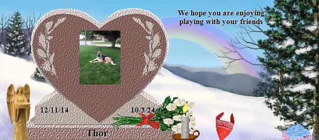 Thor's Rainbow Bridge Pet Loss Memorial Residency Image