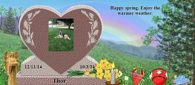 Thor's Rainbow Bridge Pet Loss Memorial Residency Image