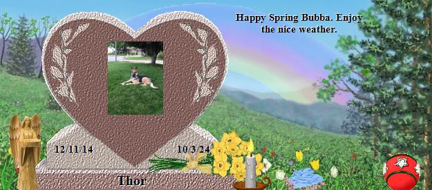Thor's Rainbow Bridge Pet Loss Memorial Residency Image