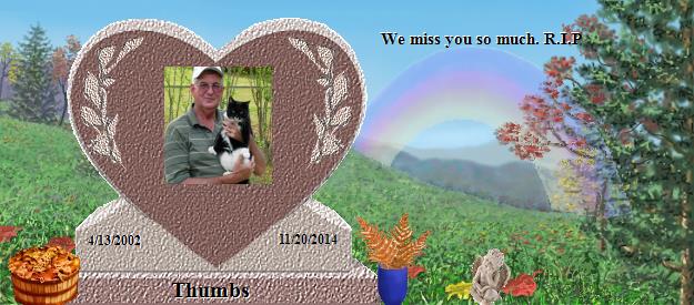 Thumbs's Rainbow Bridge Pet Loss Memorial Residency Image