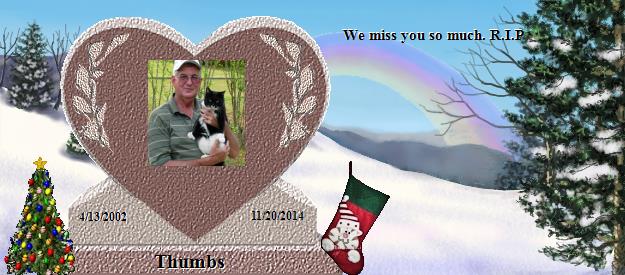 Thumbs's Rainbow Bridge Pet Loss Memorial Residency Image