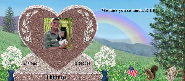 Thumbs's Rainbow Bridge Pet Loss Memorial Residency Image