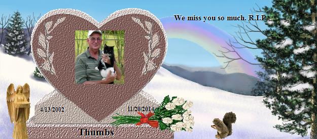 Thumbs's Rainbow Bridge Pet Loss Memorial Residency Image