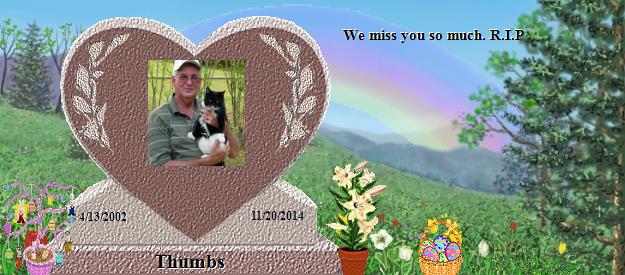 Thumbs's Rainbow Bridge Pet Loss Memorial Residency Image