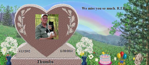 Thumbs's Rainbow Bridge Pet Loss Memorial Residency Image