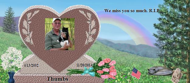 Thumbs's Rainbow Bridge Pet Loss Memorial Residency Image