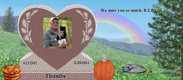 Thumbs's Rainbow Bridge Pet Loss Memorial Residency Image