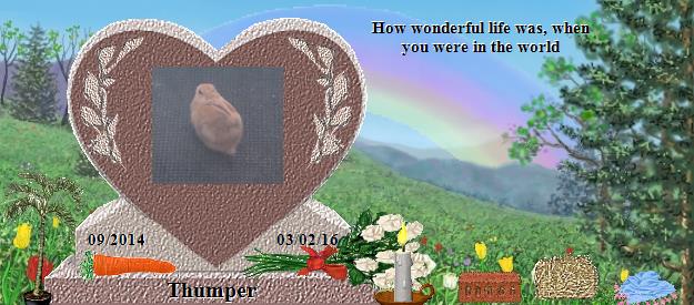 Thumper's Rainbow Bridge Pet Loss Memorial Residency Image