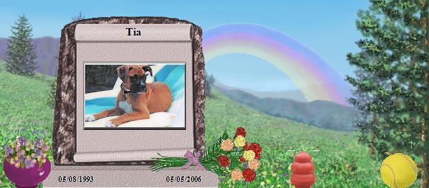 Tia's Rainbow Bridge Pet Loss Memorial Residency Image
