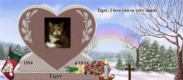 Tiger's Rainbow Bridge Pet Loss Memorial Residency Image