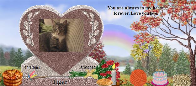 Tiger's Rainbow Bridge Pet Loss Memorial Residency Image