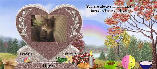 Tiger's Rainbow Bridge Pet Loss Memorial Residency Image