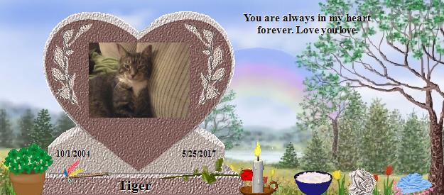 Tiger's Rainbow Bridge Pet Loss Memorial Residency Image