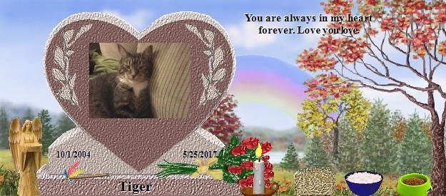 Tiger's Rainbow Bridge Pet Loss Memorial Residency Image