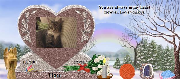 Tiger's Rainbow Bridge Pet Loss Memorial Residency Image