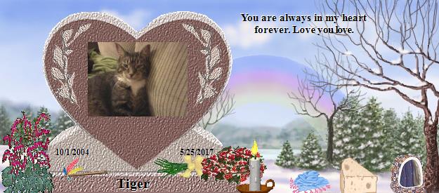 Tiger's Rainbow Bridge Pet Loss Memorial Residency Image