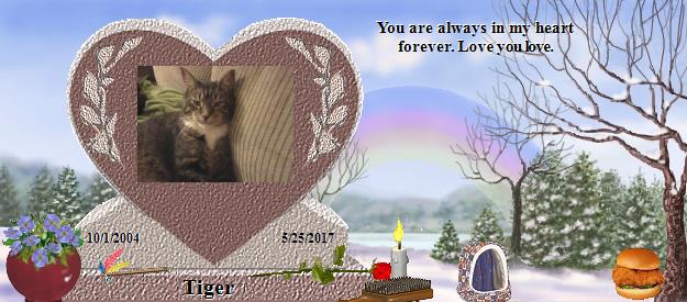 Tiger's Rainbow Bridge Pet Loss Memorial Residency Image