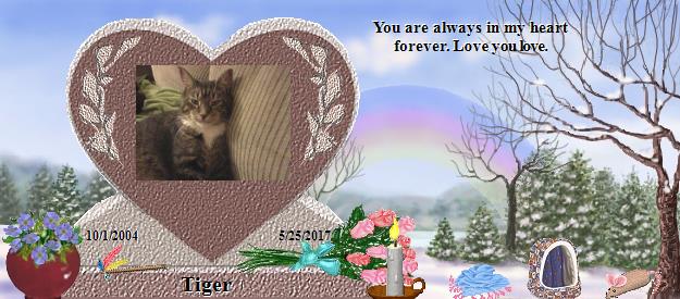 Tiger's Rainbow Bridge Pet Loss Memorial Residency Image