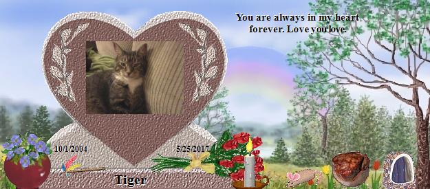 Tiger's Rainbow Bridge Pet Loss Memorial Residency Image