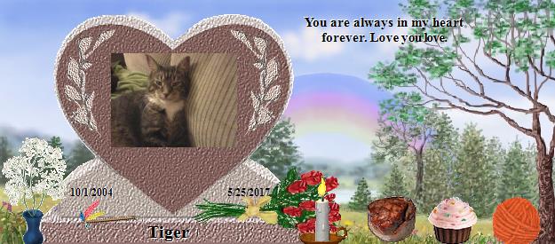 Tiger's Rainbow Bridge Pet Loss Memorial Residency Image