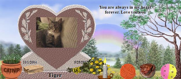 Tiger's Rainbow Bridge Pet Loss Memorial Residency Image