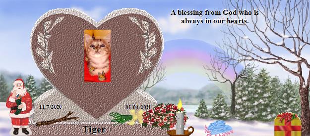 Tiger's Rainbow Bridge Pet Loss Memorial Residency Image