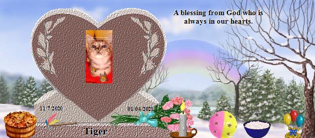 Tiger's Rainbow Bridge Pet Loss Memorial Residency Image