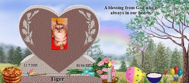 Tiger's Rainbow Bridge Pet Loss Memorial Residency Image