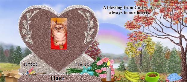 Tiger's Rainbow Bridge Pet Loss Memorial Residency Image