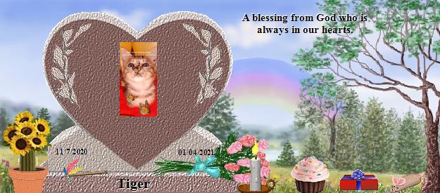 Tiger's Rainbow Bridge Pet Loss Memorial Residency Image