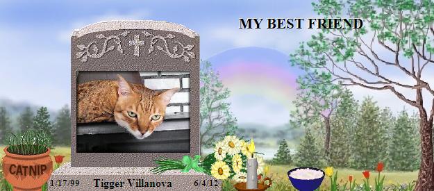 Tigger Villanova's Rainbow Bridge Pet Loss Memorial Residency Image