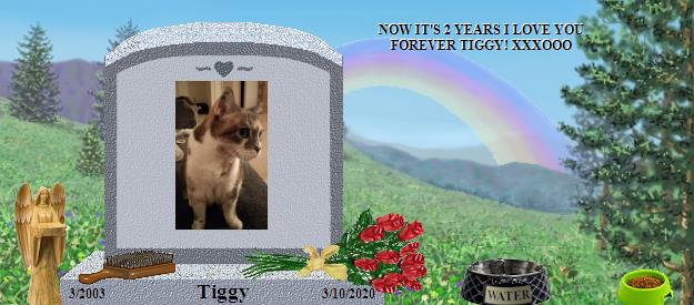 Tiggy's Rainbow Bridge Pet Loss Memorial Residency Image