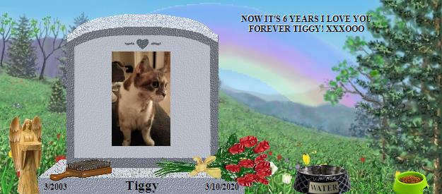 Tiggy's Rainbow Bridge Pet Loss Memorial Residency Image