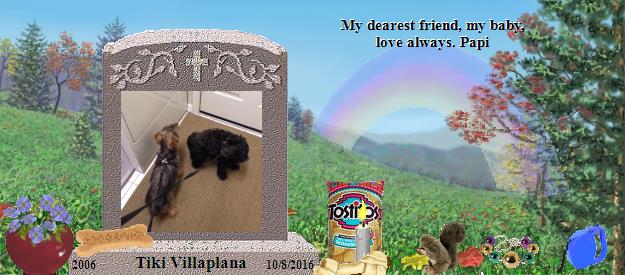 Tiki Villaplana's Rainbow Bridge Pet Loss Memorial Residency Image