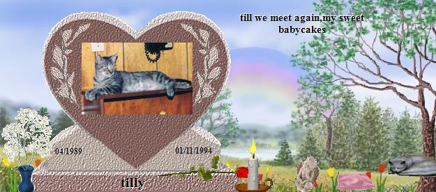 tilly's Rainbow Bridge Pet Loss Memorial Residency Image