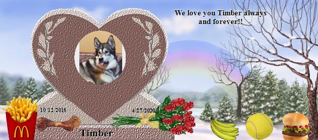 Timber's Rainbow Bridge Pet Loss Memorial Residency Image