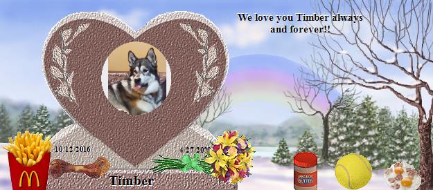 Timber's Rainbow Bridge Pet Loss Memorial Residency Image