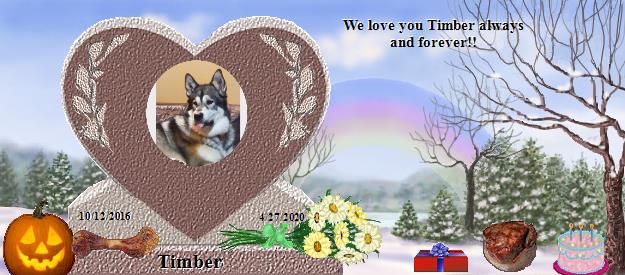 Timber's Rainbow Bridge Pet Loss Memorial Residency Image