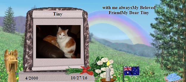 Tiny's Rainbow Bridge Pet Loss Memorial Residency Image