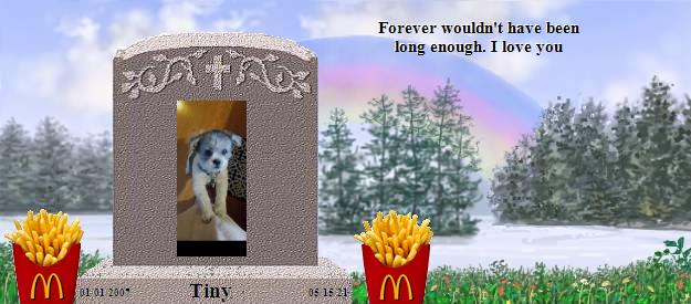Tiny's Rainbow Bridge Pet Loss Memorial Residency Image