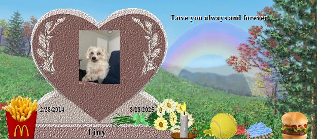 Tiny's Rainbow Bridge Pet Loss Memorial Residency Image