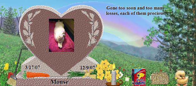 Mouse's Rainbow Bridge Pet Loss Memorial Residency Image