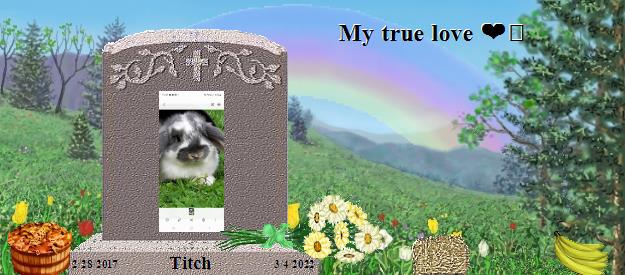 Titch's Rainbow Bridge Pet Loss Memorial Residency Image