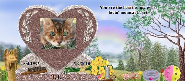 T.J.'s Rainbow Bridge Pet Loss Memorial Residency Image