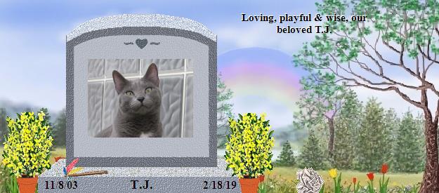 T.J.'s Rainbow Bridge Pet Loss Memorial Residency Image